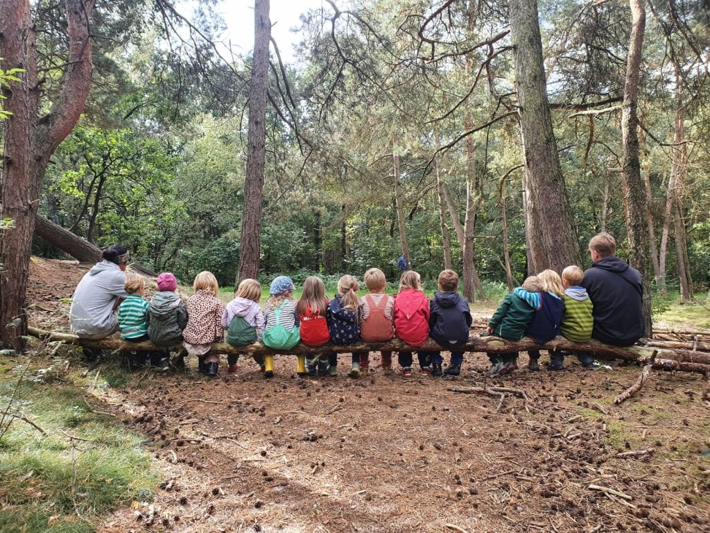 Kindergartengruppe sitzt auf einem umgefallenen Baum